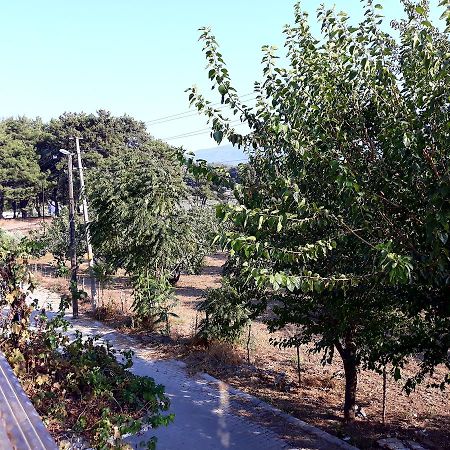 Can Efes Hotel Selçuk Exterior foto
